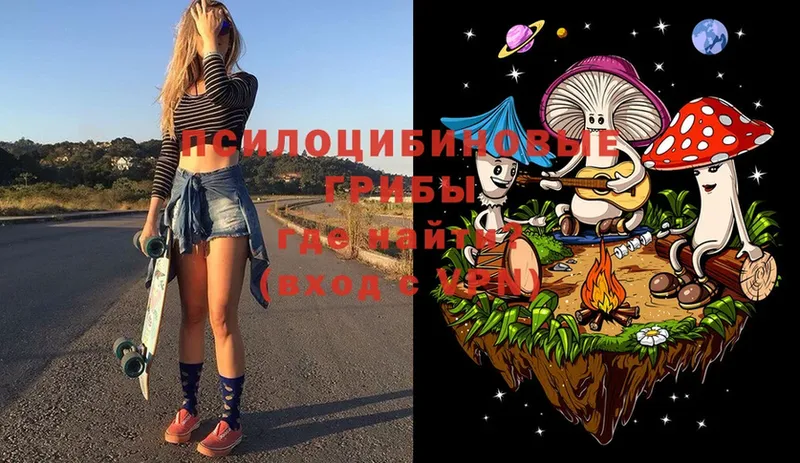 Галлюциногенные грибы MAGIC MUSHROOMS  Новоуральск 